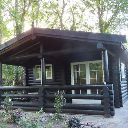 Knusse En Gezellige Blokhut De Bijenstal Villa Dedemsvaart Dış mekan fotoğraf