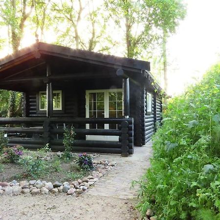 Knusse En Gezellige Blokhut De Bijenstal Villa Dedemsvaart Dış mekan fotoğraf